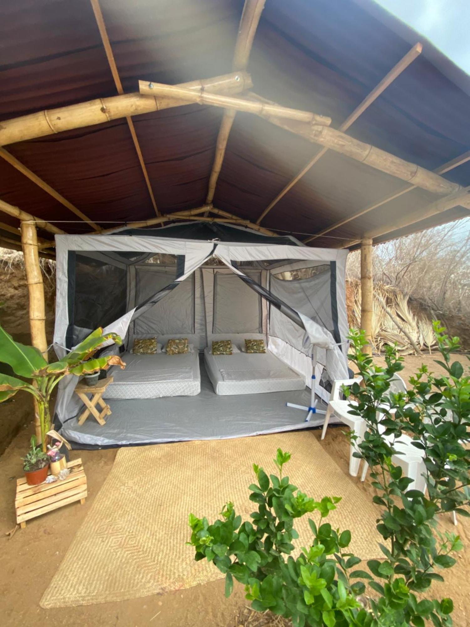 Bajo Las Estrellas Eco Glamping Масунте Экстерьер фото