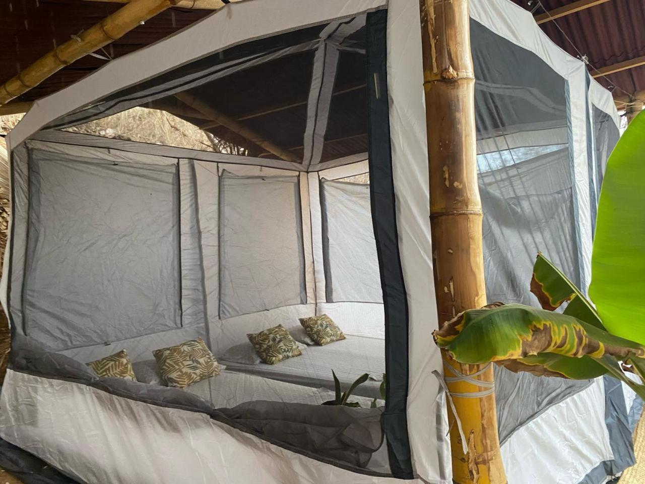 Bajo Las Estrellas Eco Glamping Масунте Экстерьер фото